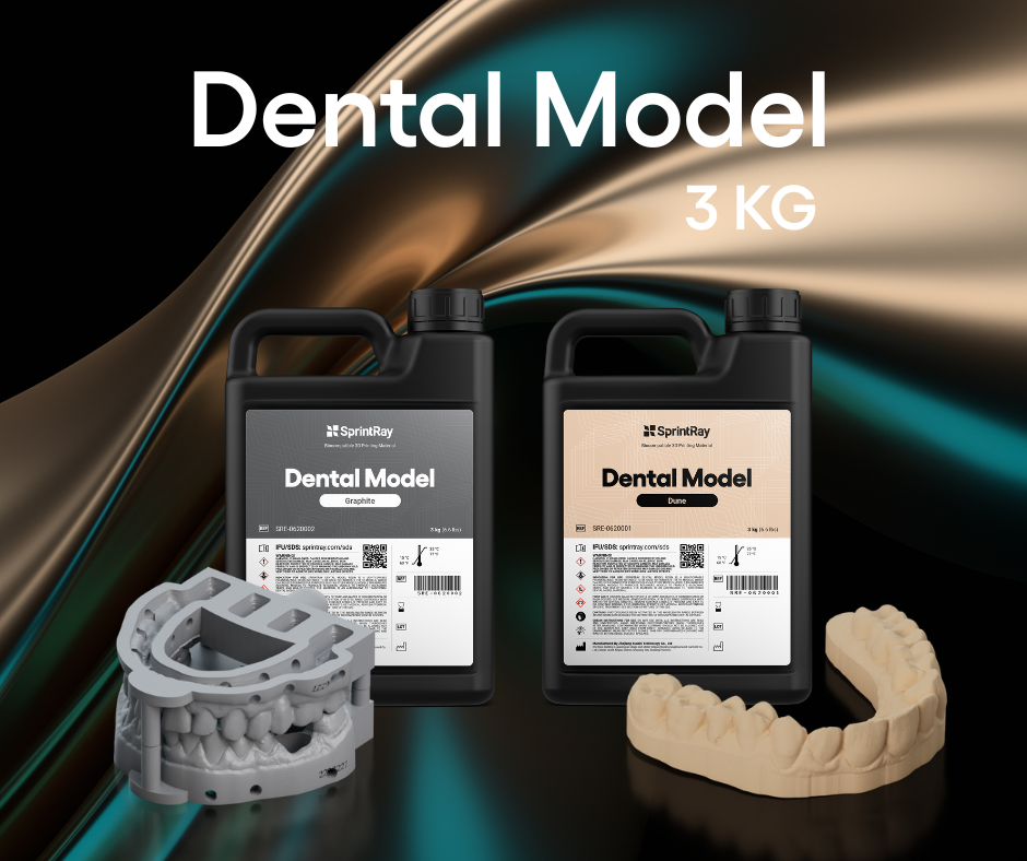 Dental Model 3KG