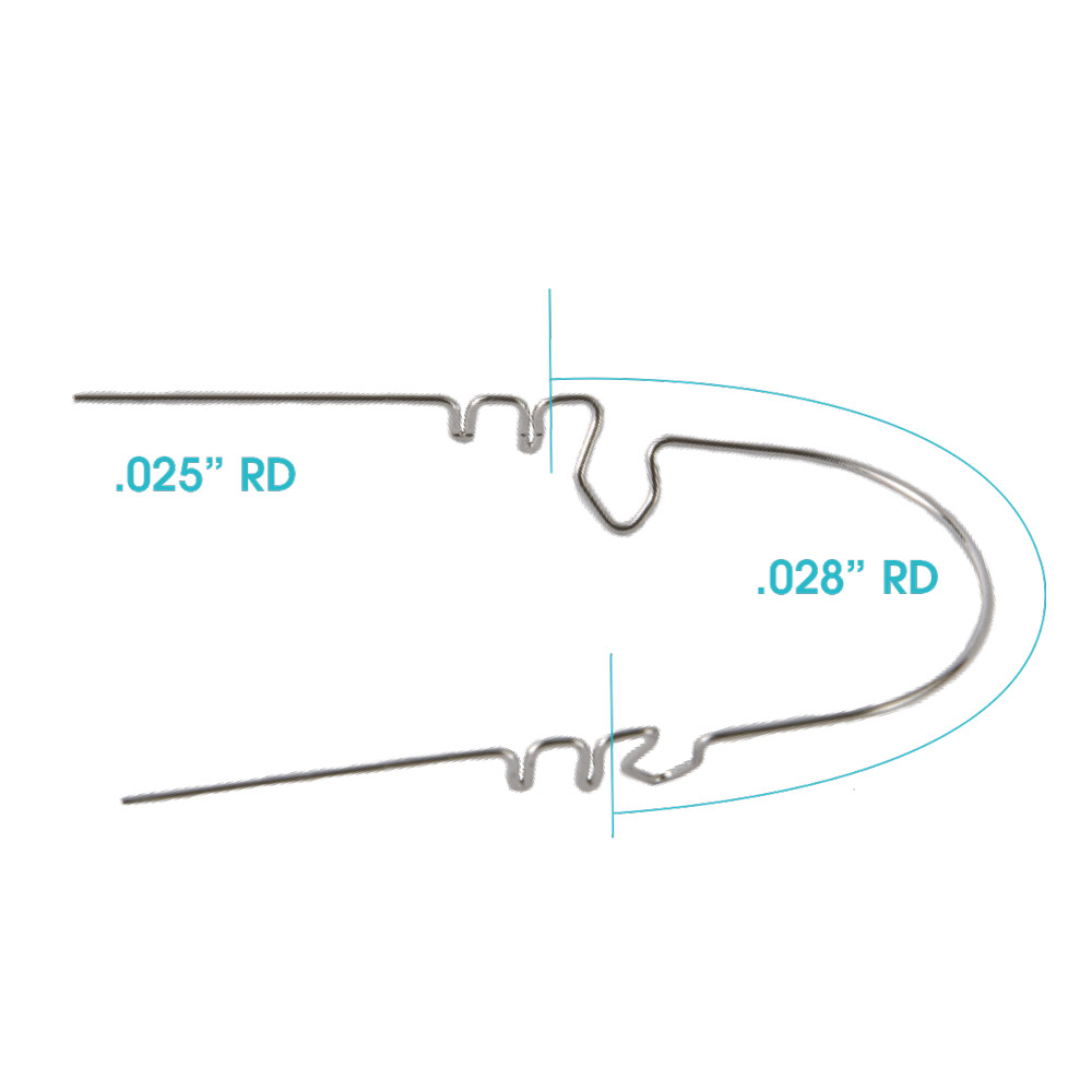 3D LINGUAL ARCH